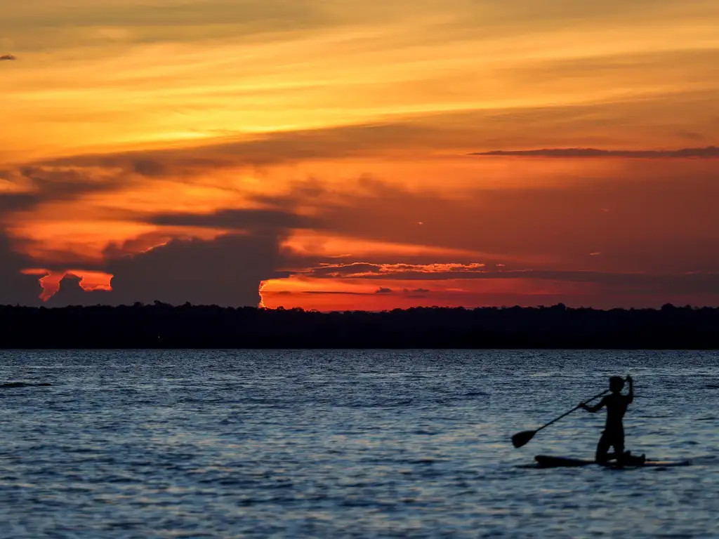 Challenges and Impacts of EU Environmental Regulations on Brazil